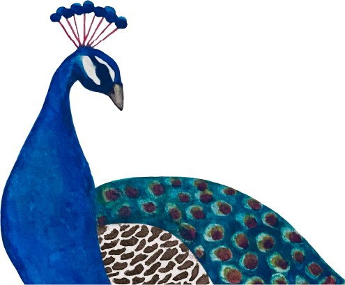 peacock